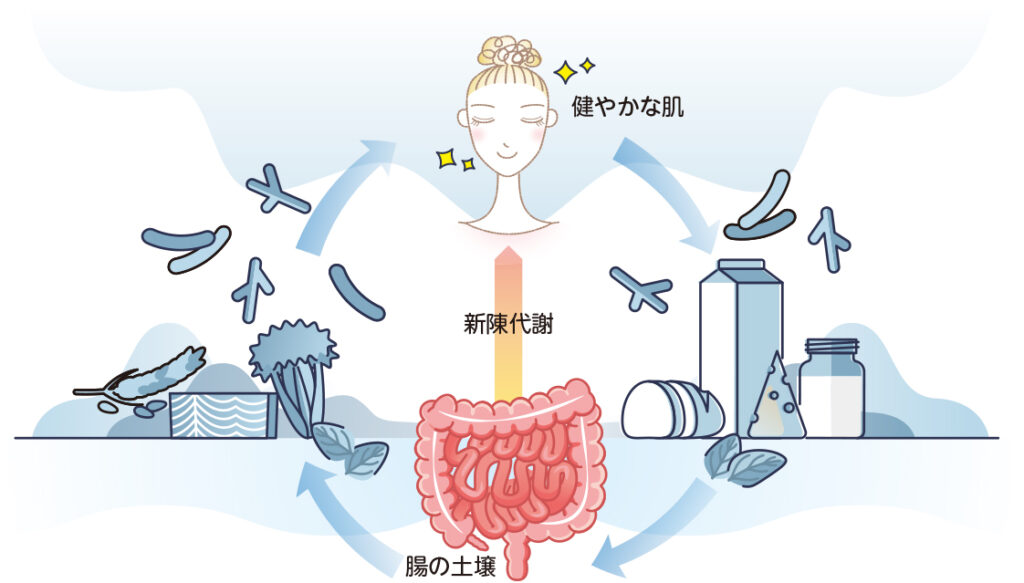 腸内環境の図